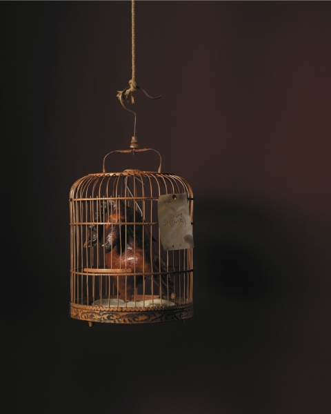 Photograph Liz Mcburney Birdcage on One Eyeland